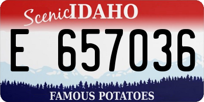 ID license plate E657036