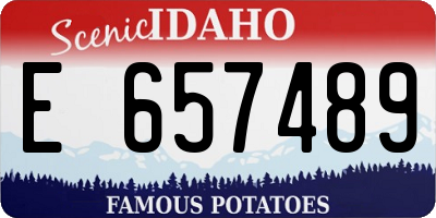 ID license plate E657489