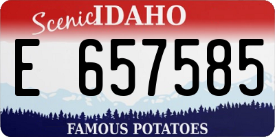 ID license plate E657585