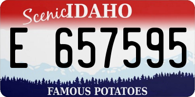 ID license plate E657595