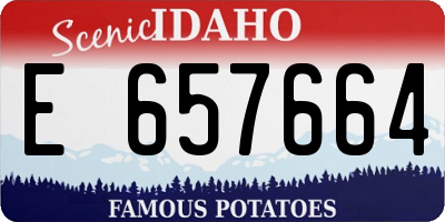 ID license plate E657664