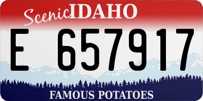 ID license plate E657917