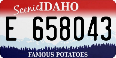 ID license plate E658043