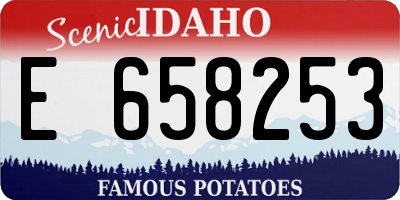 ID license plate E658253