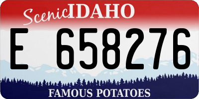 ID license plate E658276