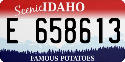 ID license plate E658613
