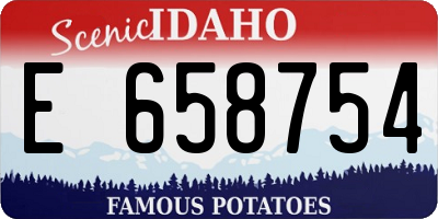 ID license plate E658754