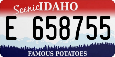ID license plate E658755