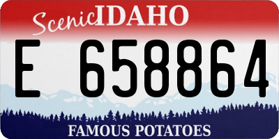 ID license plate E658864