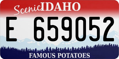 ID license plate E659052