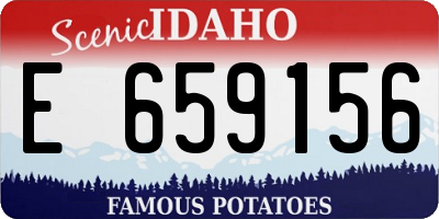 ID license plate E659156
