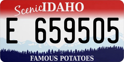 ID license plate E659505
