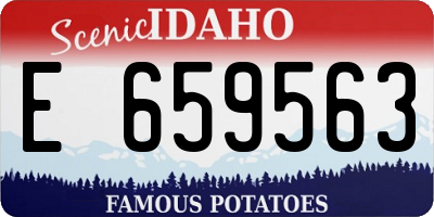 ID license plate E659563