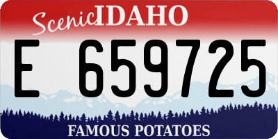 ID license plate E659725
