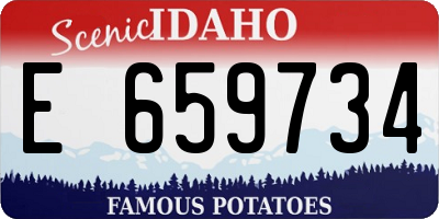 ID license plate E659734