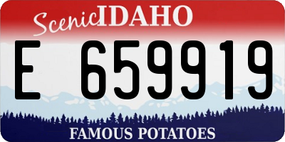 ID license plate E659919