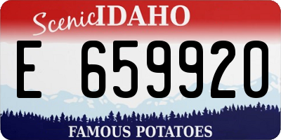 ID license plate E659920