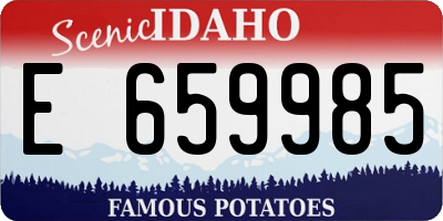 ID license plate E659985
