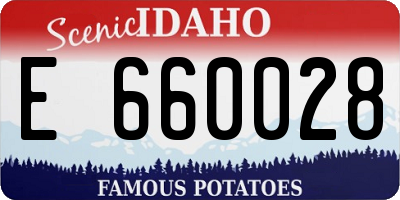 ID license plate E660028