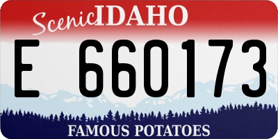 ID license plate E660173