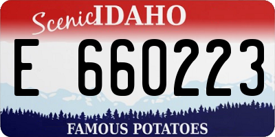 ID license plate E660223