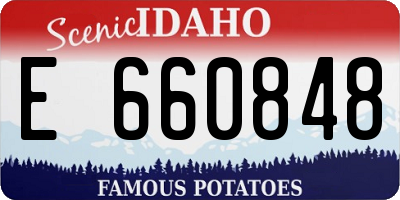 ID license plate E660848