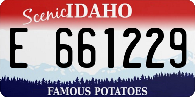 ID license plate E661229