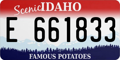 ID license plate E661833