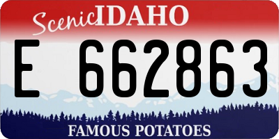 ID license plate E662863