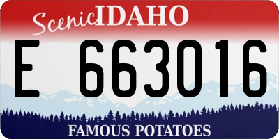 ID license plate E663016