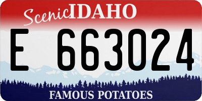 ID license plate E663024