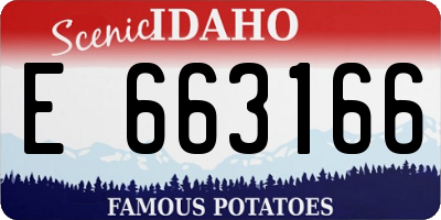 ID license plate E663166