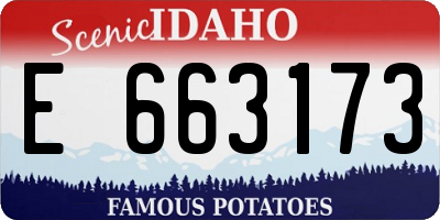 ID license plate E663173