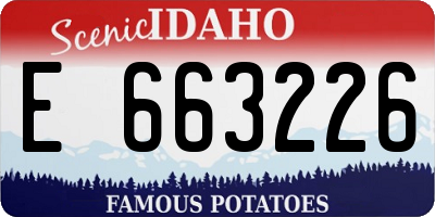 ID license plate E663226