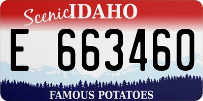 ID license plate E663460