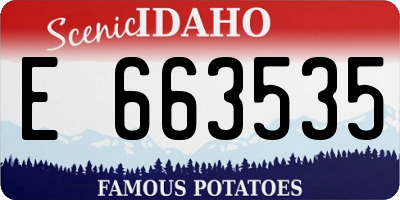 ID license plate E663535
