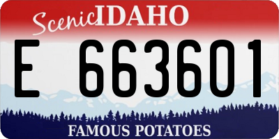 ID license plate E663601