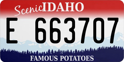 ID license plate E663707