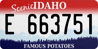 ID license plate E663751