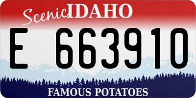 ID license plate E663910