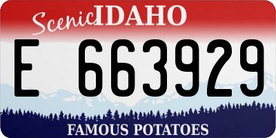 ID license plate E663929