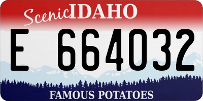 ID license plate E664032