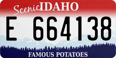 ID license plate E664138