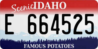 ID license plate E664525