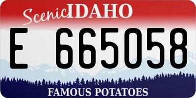 ID license plate E665058