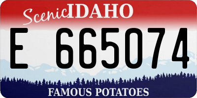 ID license plate E665074