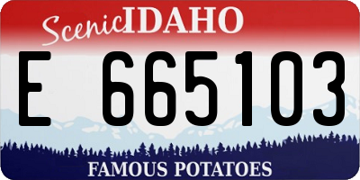 ID license plate E665103
