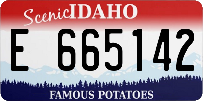 ID license plate E665142