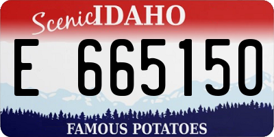 ID license plate E665150