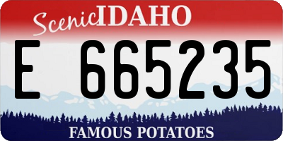ID license plate E665235